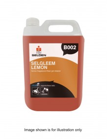 Floor Gel 5 Litre Hygiene